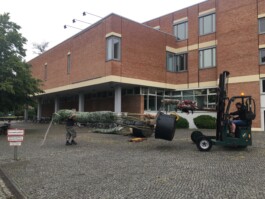 Baumschule Kulturforum