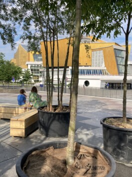 Baumschule Kulturforum
