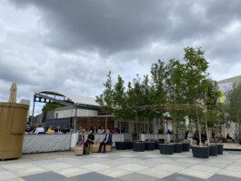 Baumschule Kulturforum