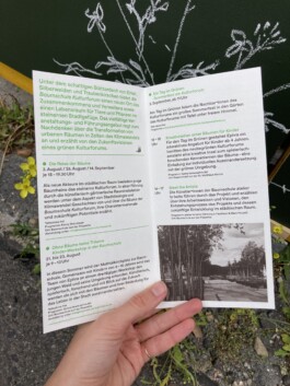 Baumschule Kulturforum