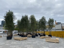 Baumschule Kulturforum