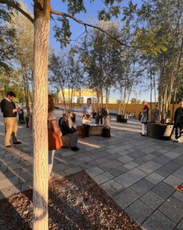 Baumschule Kulturforum