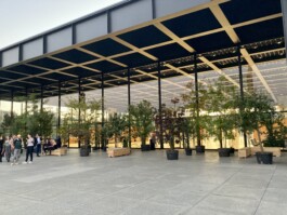 Baumschule Kulturforum