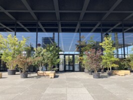 Baumschule Kulturforum
