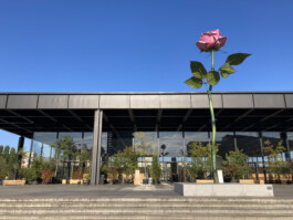 Baumschule Kulturforum