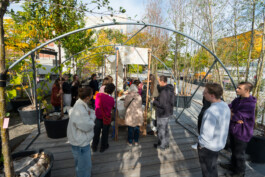 Baumschule Kulturforum