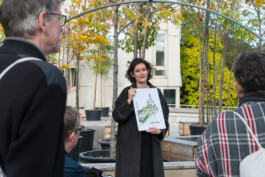 Baumschule Kulturforum