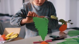 Baumschule Kulturforum
