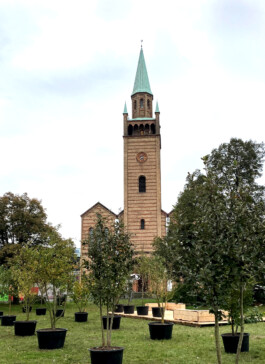 Baumschule Kulturforum