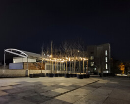 Baumschule Kulturforum