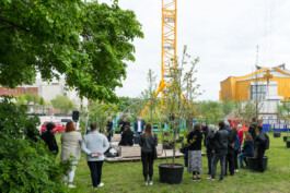 Baumschule Kulturforum
