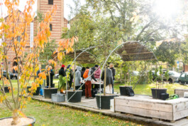 Baumschule Kulturforum