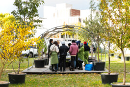Baumschule Kulturforum