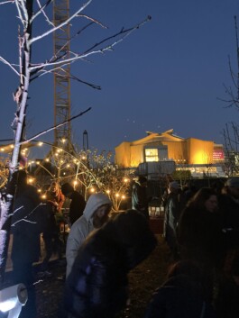 Baumschule Kulturforum