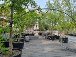Baumschule Kulturforum