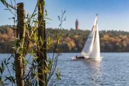 Baumschule Kulturforum