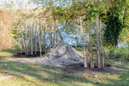 Baumschule Kulturforum