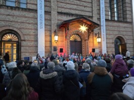 Baumschule Kulturforum