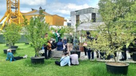 Baumschule Kulturforum