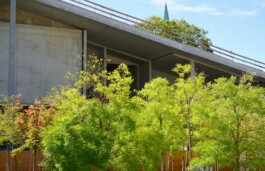 Baumschule Kulturforum